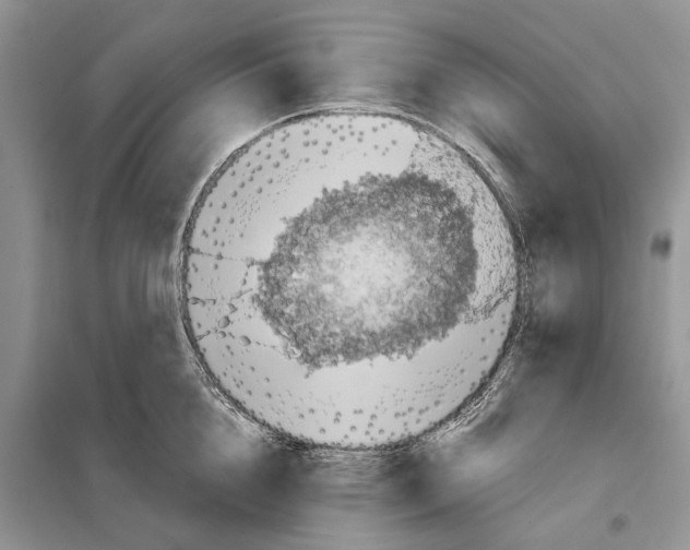 X0000097890856200804111016