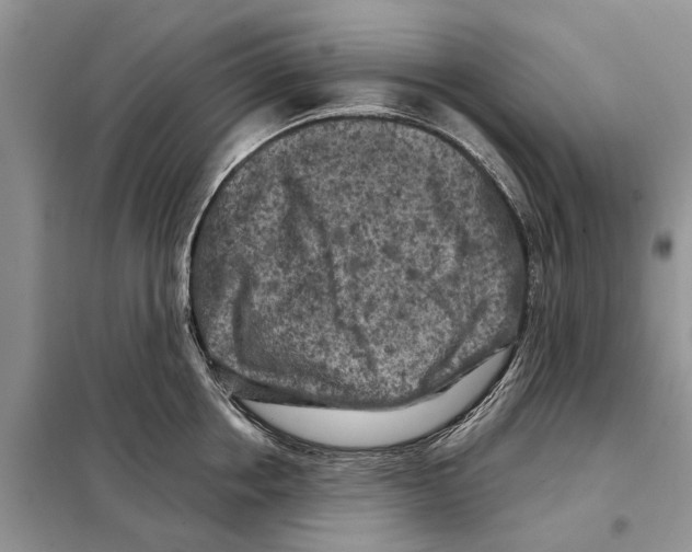 X0000097890858200804111016