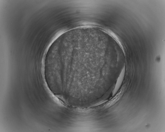 X0000097890859200804111016