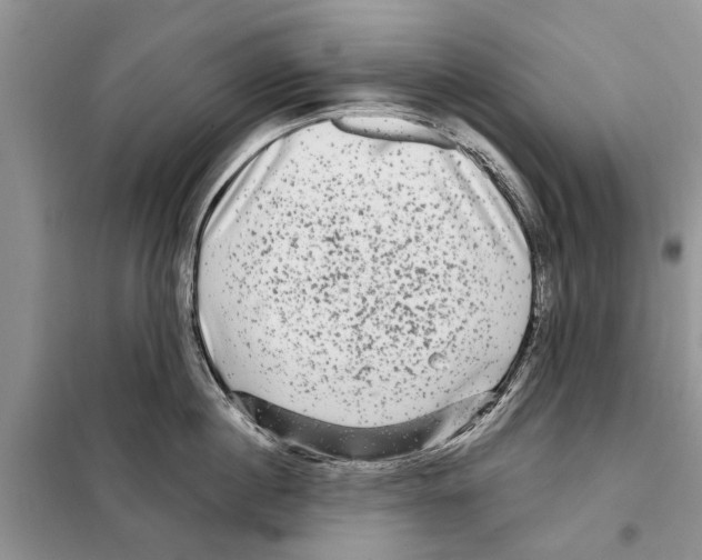 X0000097890860200804111017