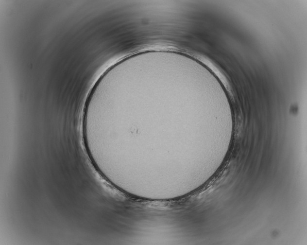 X0000097890861200804111017