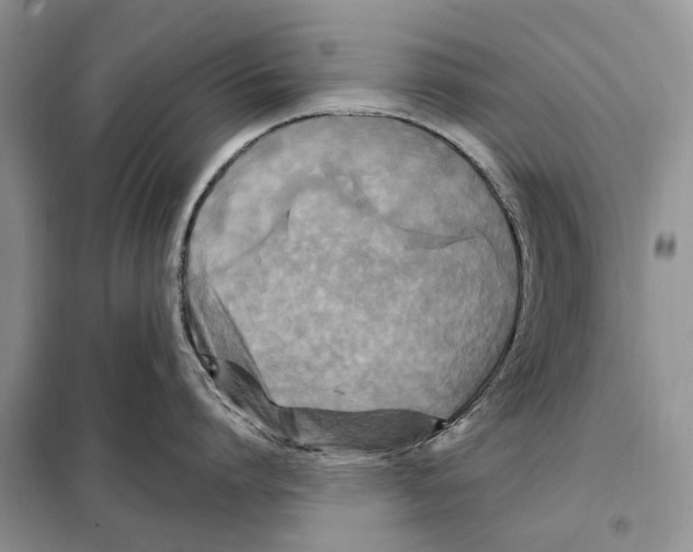 X0000097890864200804111017