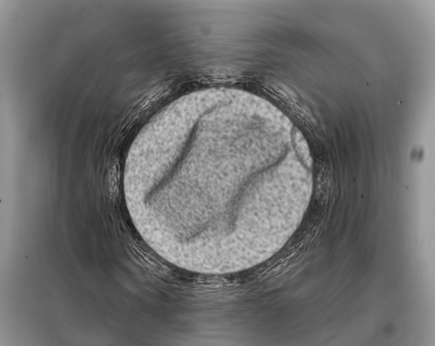 X0000097890866200804111016