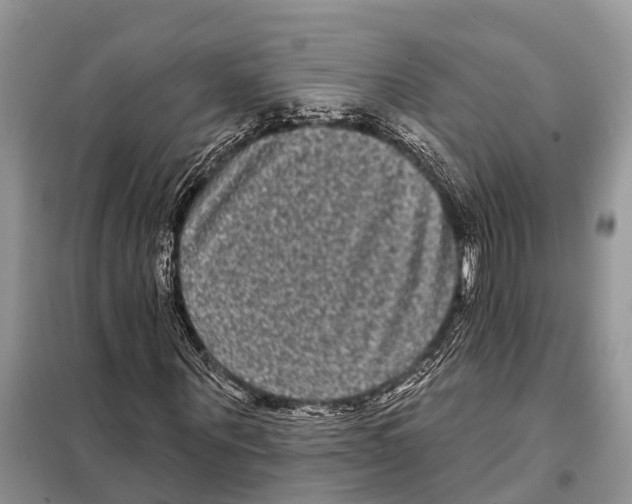 X0000097890867200804111016