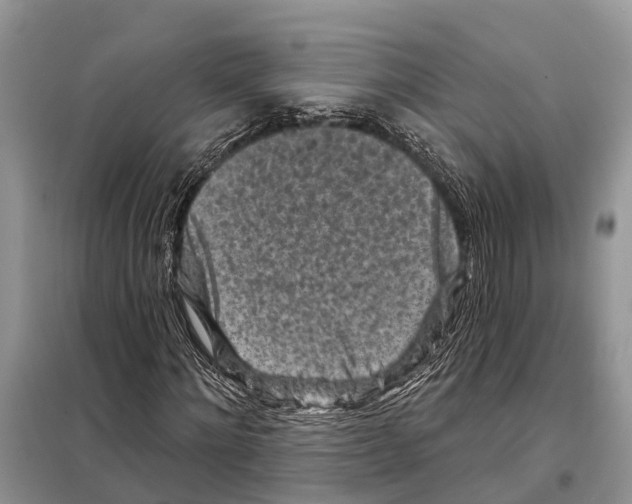 X0000097890868200804111016