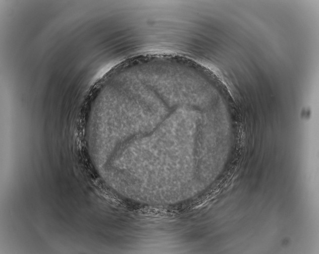 X0000097890871200804111015