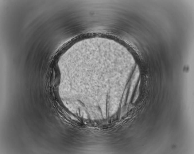 X0000097890872200804111015