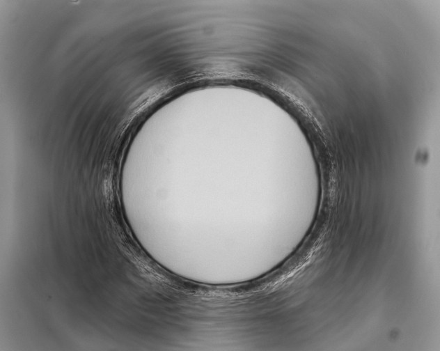 X0000097890873200804111015