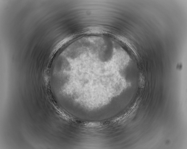 X0000097890874200804111015