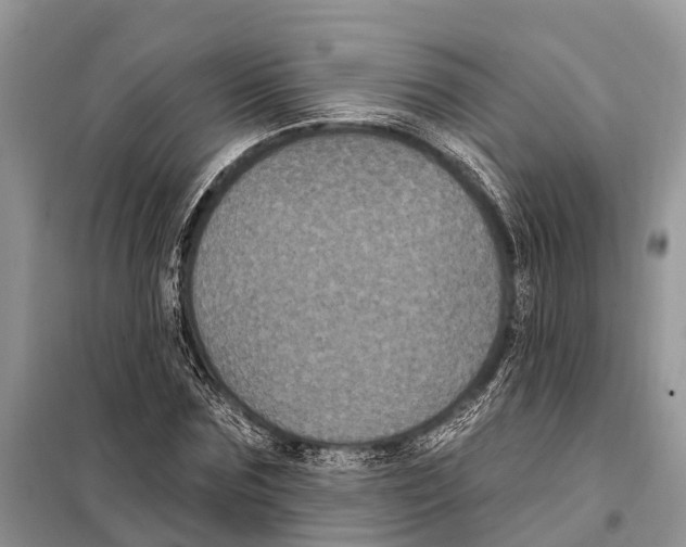 X0000097890875200804111015