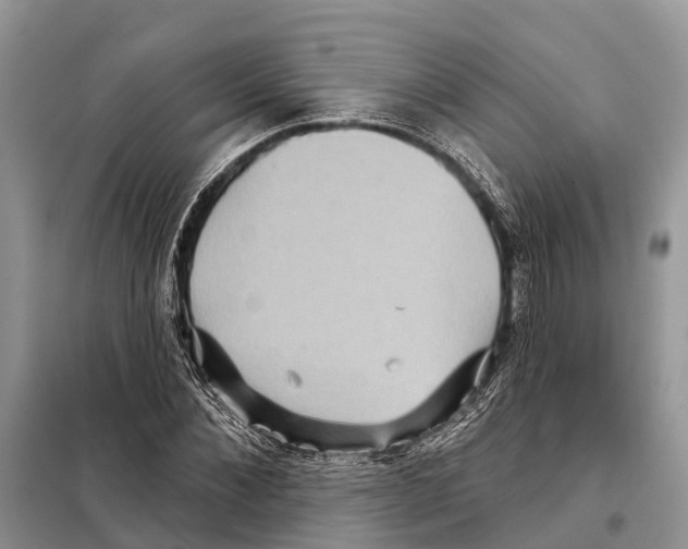 X0000097890876200804111015