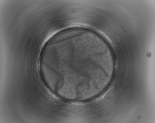 X0000097890877200804111015