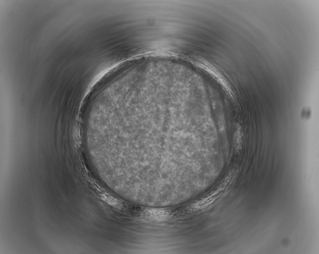 X0000097890878200804111015