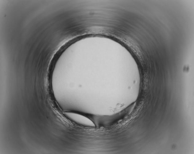 X0000097890880200804111015