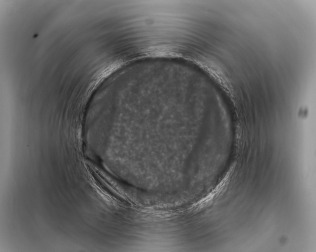 X0000097890881200804111015