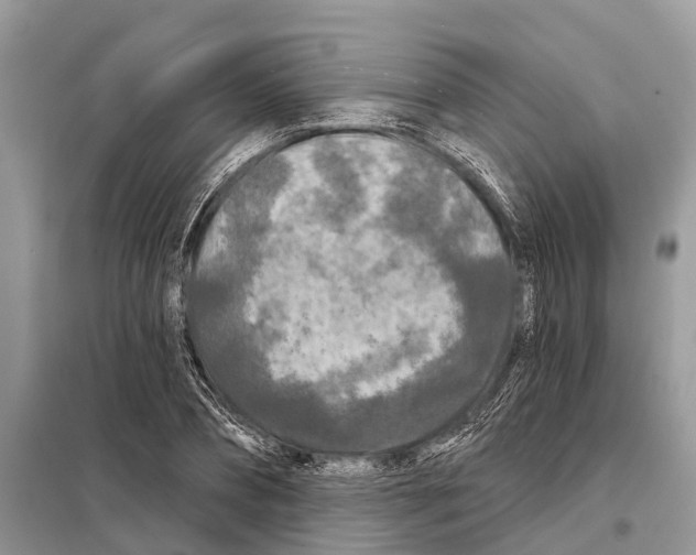 X0000097890882200804111015