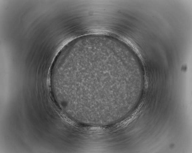 X0000097890883200804111015