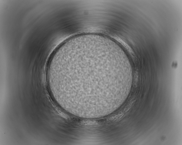 X0000097890886200804111015