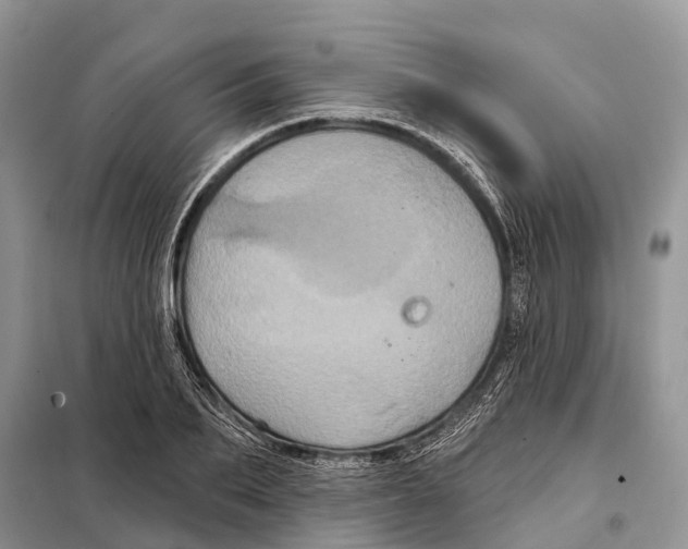 X0000097890887200804111015