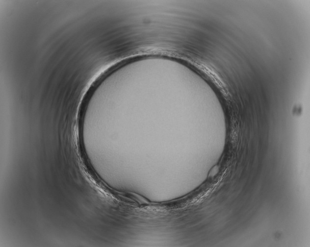 X0000097890888200804111015