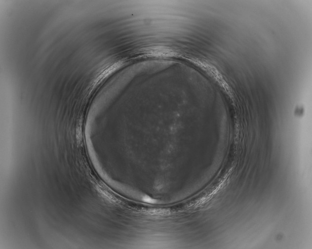 X0000097890889200804111015