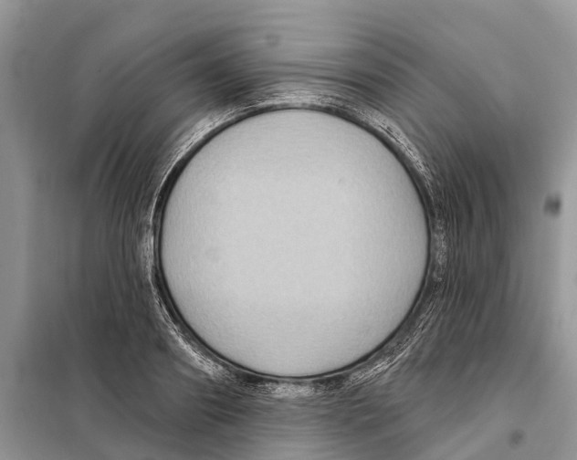 X0000097890890200804111015