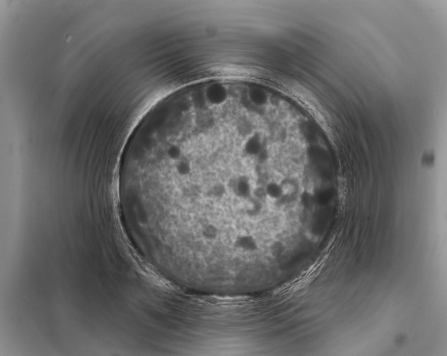 X0000097890891200804111015