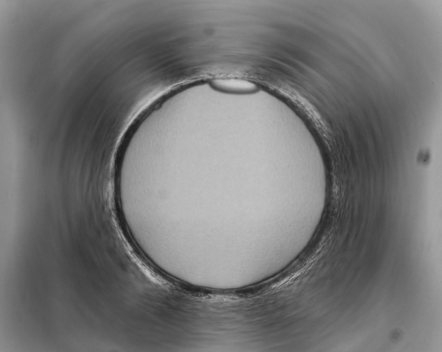 X0000097890894200804111015