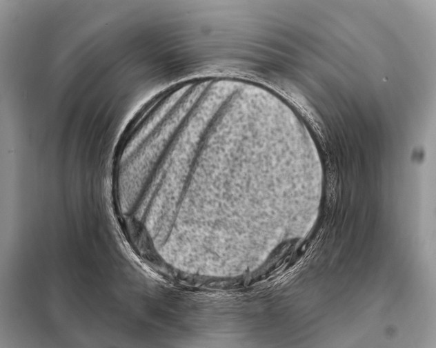 X0000097890896200804111015