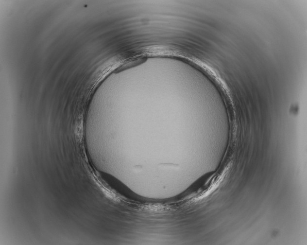 X0000097890897200804111015