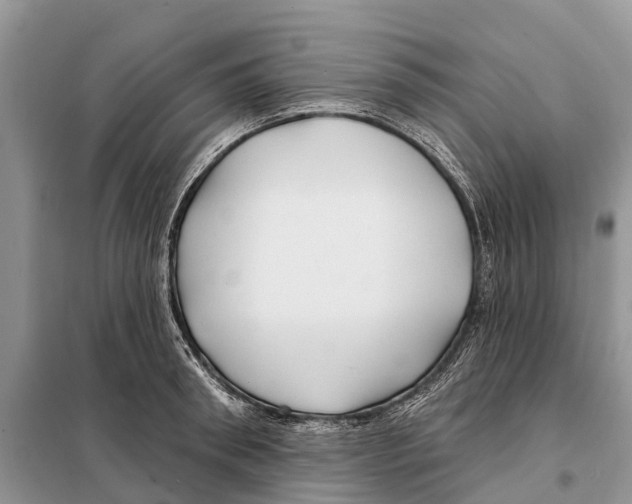 X0000097890898200804111015