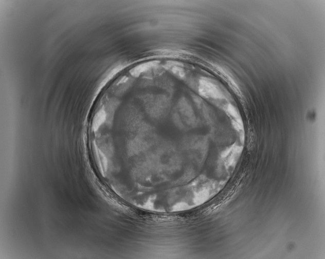 X0000097890899200804111015