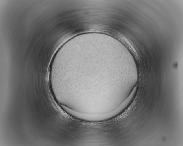 X0000097890900200804111015