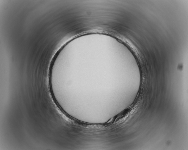 X0000097890902200804111015