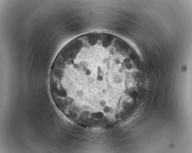 X0000097890903200804111015