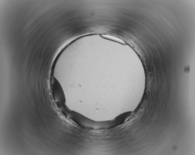 X0000097890904200804111015