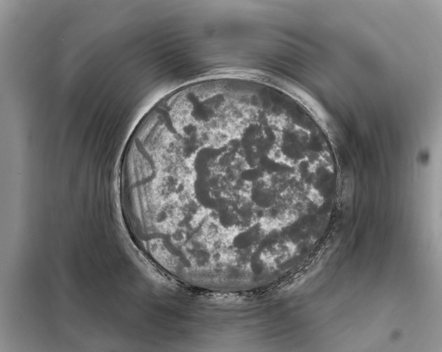 X0000097890907200804111015