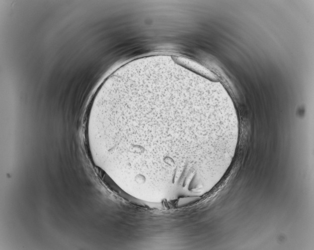 X0000097890908200804111015