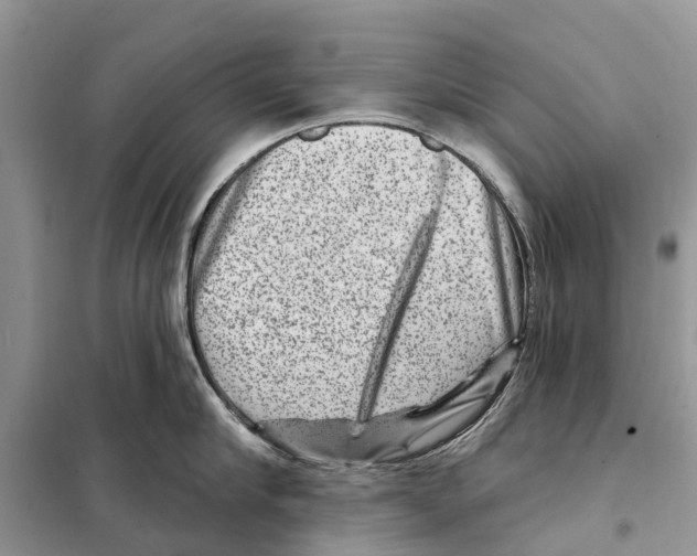 X0000097890910200804111015