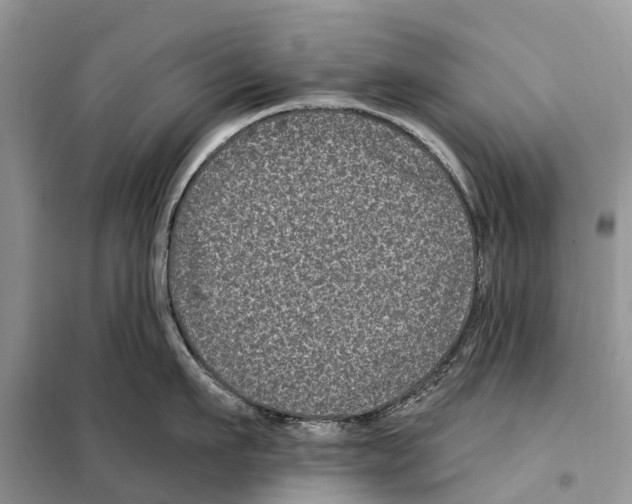 X0000097890911200804111015