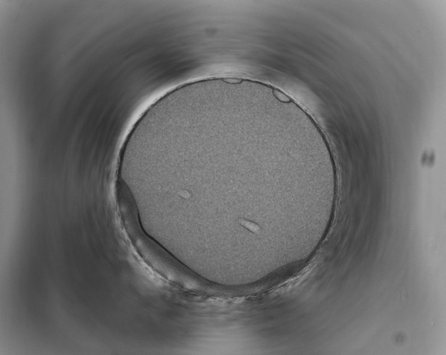 X0000097890912200804111015