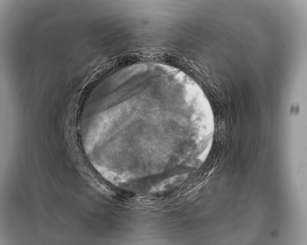 X0000097890913200804111014