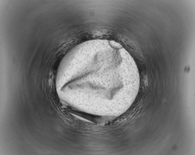 X0000097890914200804111014