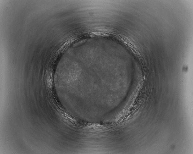 X0000097890915200804111014