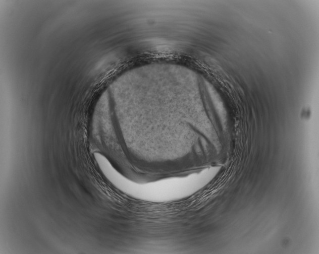 X0000097890916200804111014