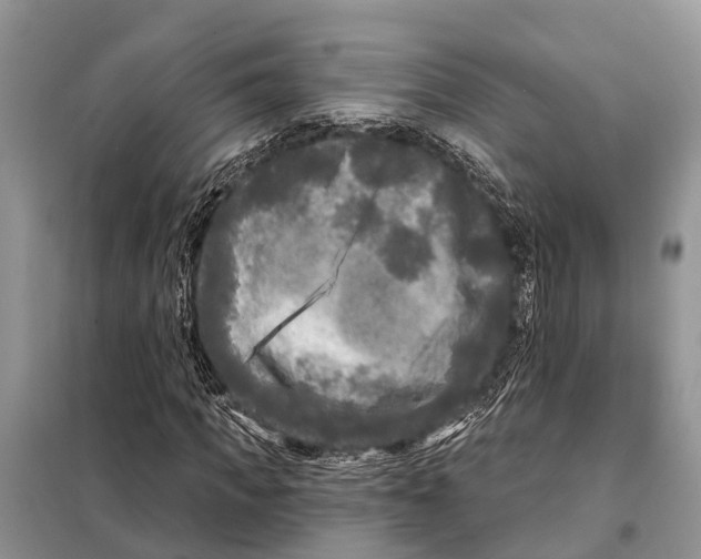 X0000097890917200804111014