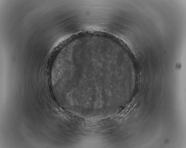 X0000097890919200804111014