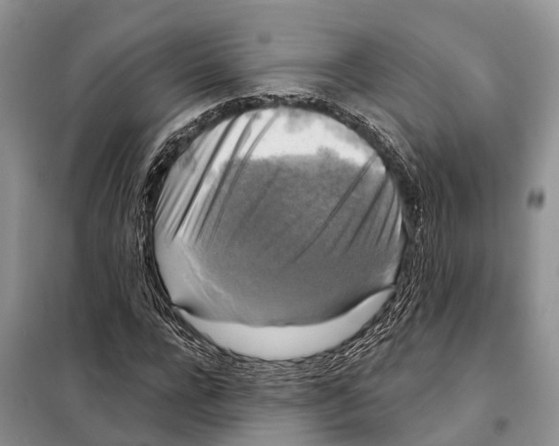 X0000097890920200804111014