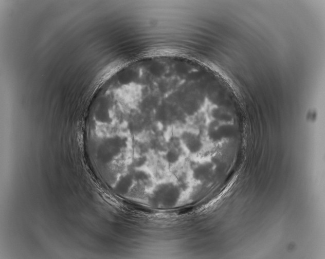 X0000097890921200804111014