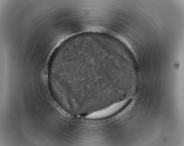 X0000097890923200804111014